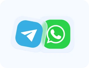 WhatsApp Business and Telegram Bot